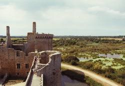 Château de Suscinio
